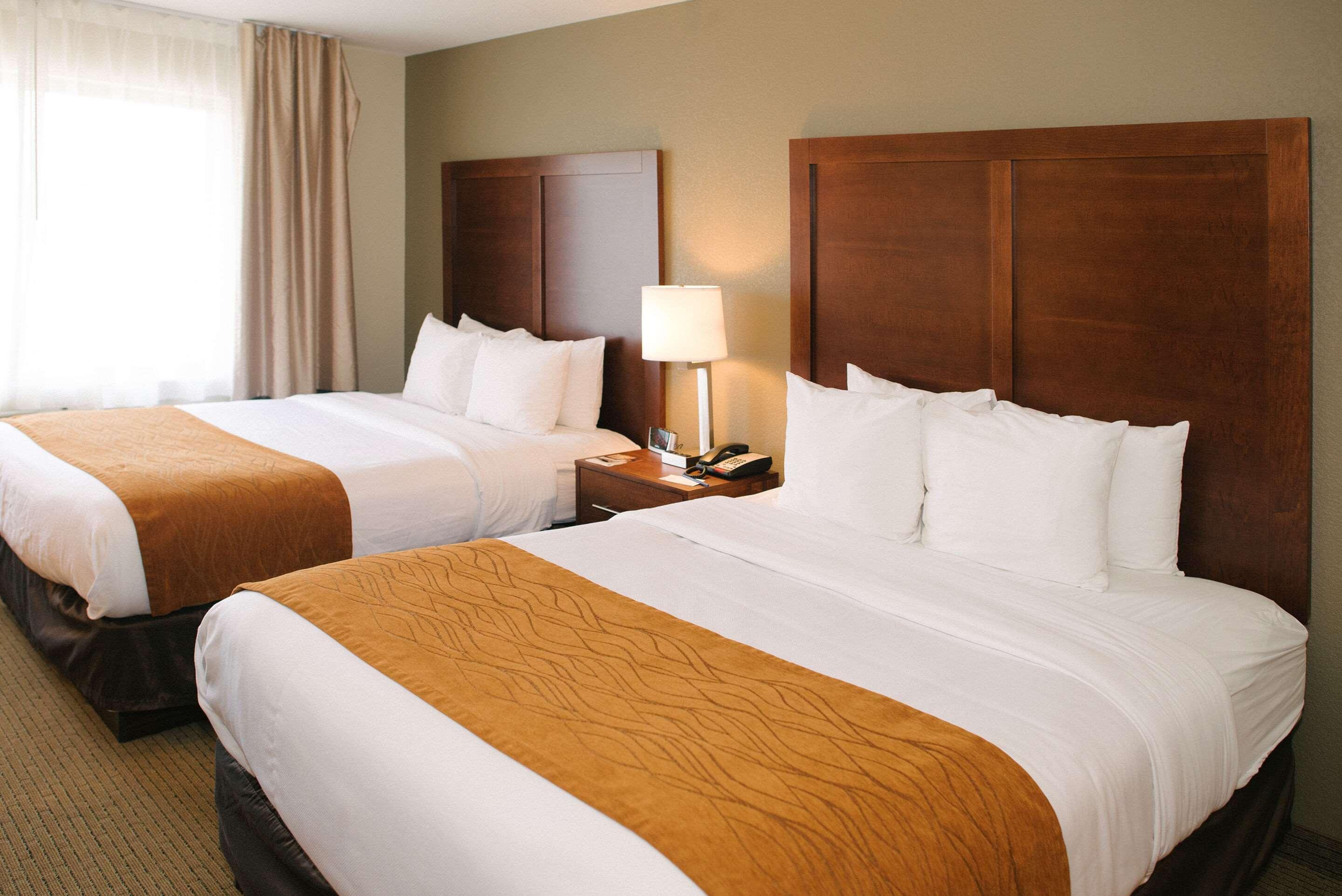 Comfort Inn & Suites Custer Εξωτερικό φωτογραφία